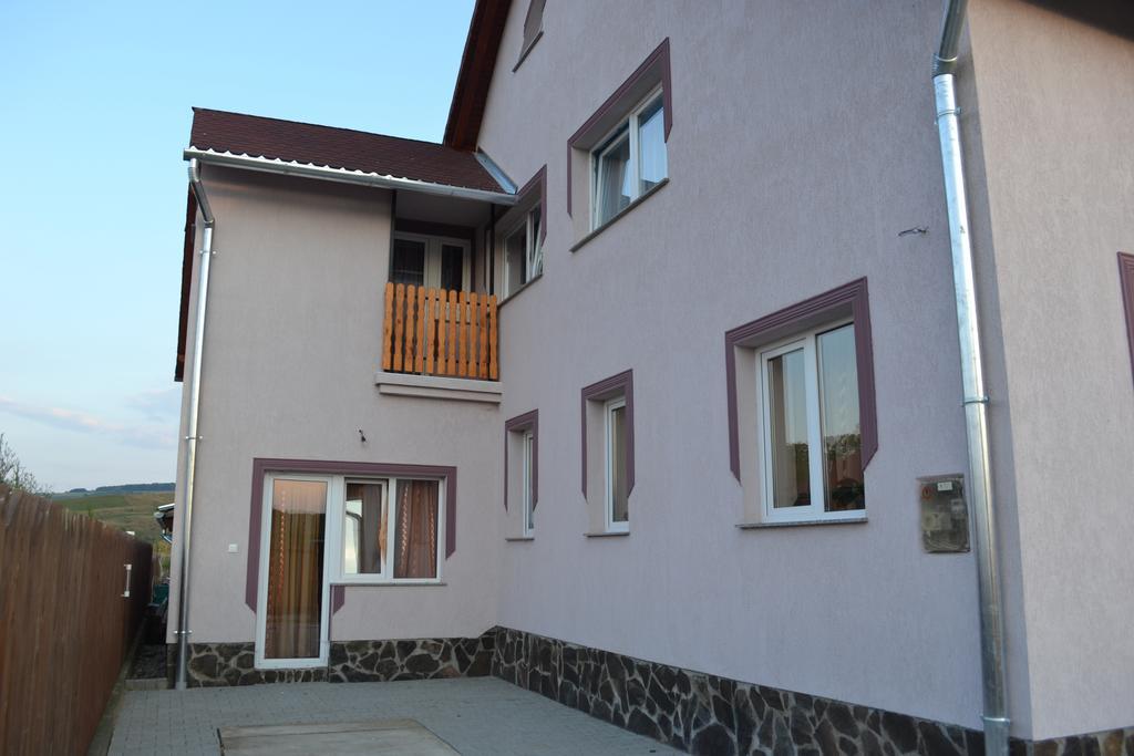 Ersa Panzio Hotel Bisericani  Esterno foto