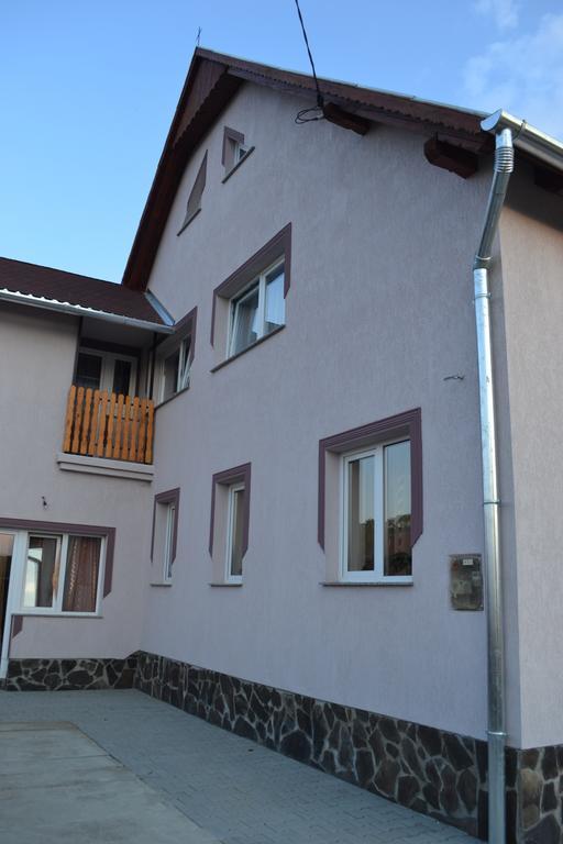 Ersa Panzio Hotel Bisericani  Esterno foto