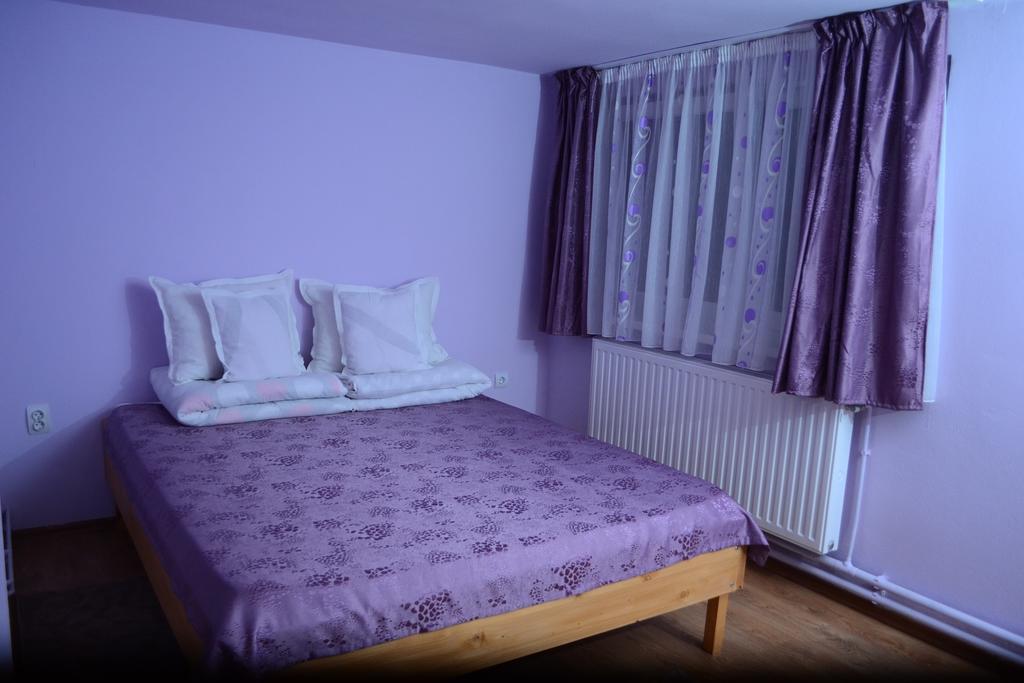 Ersa Panzio Hotel Bisericani  Camera foto