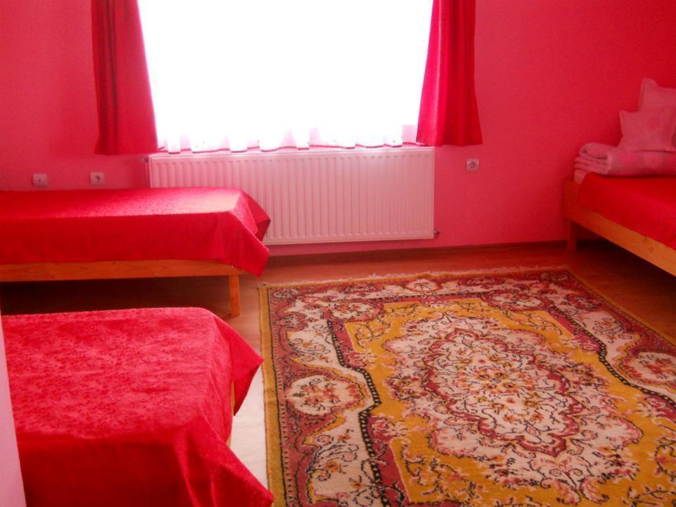 Ersa Panzio Hotel Bisericani  Camera foto