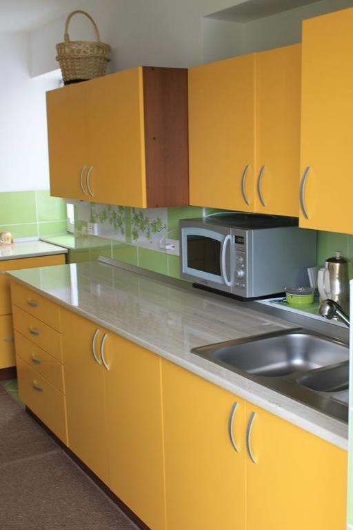 Ersa Panzio Hotel Bisericani  Esterno foto