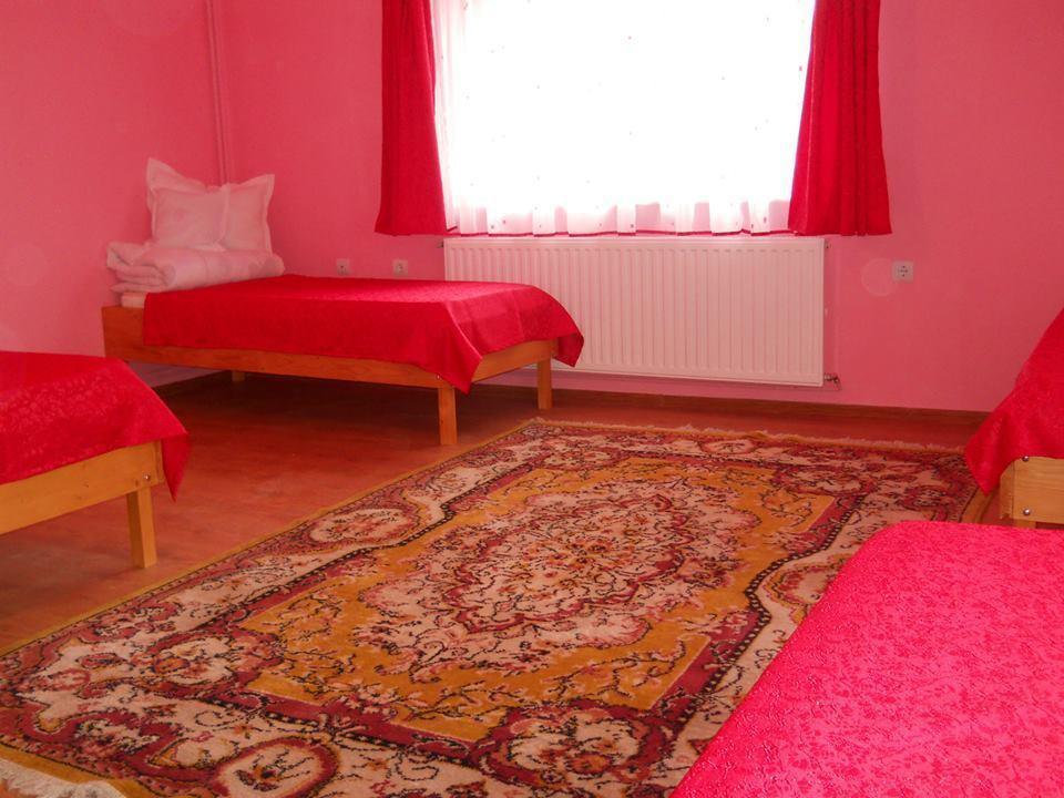 Ersa Panzio Hotel Bisericani  Esterno foto